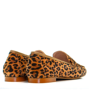 OCEAN-1 LEOPARDO (BASE ARENA 116)